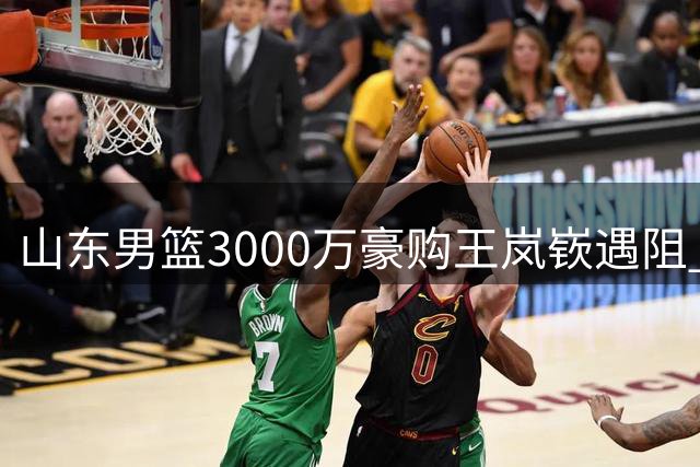 山东男篮3000万豪购王岚嵚遇阻 租借补偿成关键障碍